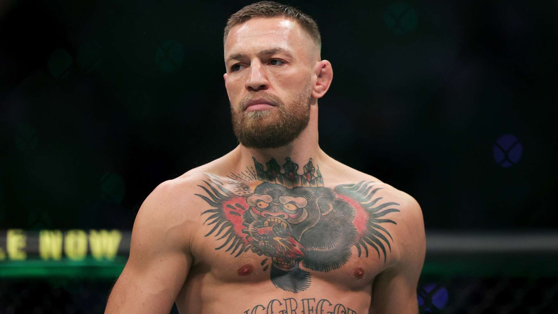 的背景下 的背景下